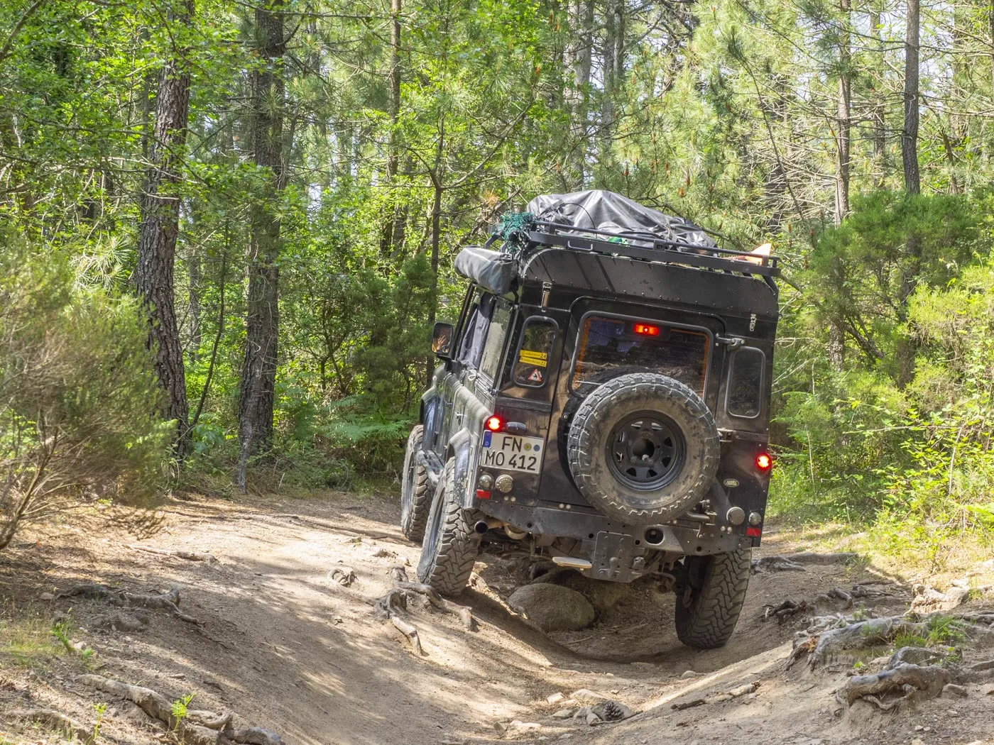 Defender klettert über Wurzeln auf einem Waldweg